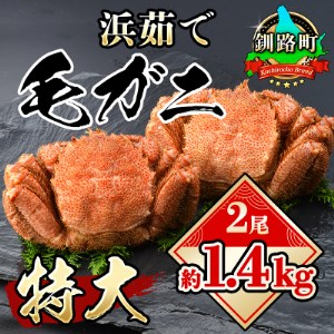 【北海道産】浜ゆで特大毛ガニ 2尾(合計約1.4kg)【1141967】