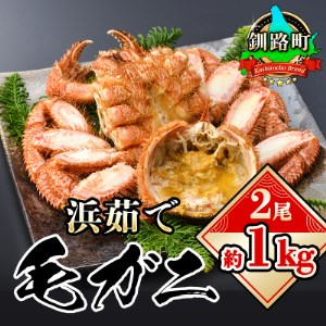 【北海道産】浜ゆで毛ガニ 2尾(合計約1kg)【1141966】