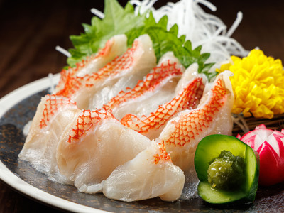 大雪特価‼️四季にうるわしく‼️伊万里錦手若松＆橙＆ふきよせ　兜菱形刺身皿 5客 大雪特価‼️四季にうるわしく‼️伊万里錦手若松＆橙＆ふきよせ