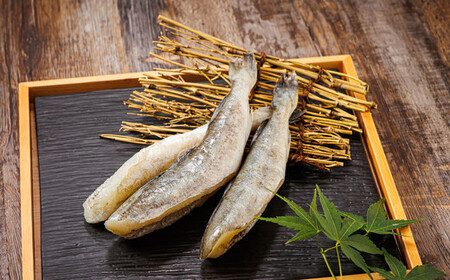 ＜北海道産＞ 氷下魚(こまい)を一夜干しに「一夜干しこまい」300g×5個_北海道産 氷下魚 こまい を 一夜干しに！ 焼魚 焼き魚 セット ひもの 冷凍 冷凍 魚介類 海鮮 絶品 人気 笹谷商店 直営 釧之助本店 高級 北海道 釧路町 釧路超 特産品 _【配送不可地域：離島】【1385029】