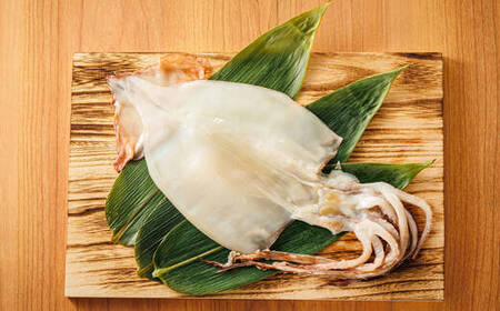 【12/21まで年内発送】北海道産 真いか一夜干し 2杯×4個セット_一夜干し 烏賊 いか イカ 焼魚 焼き魚 セット ひもの 冷凍 魚介類 海鮮 絶品 人気 笹谷商店 直営 釧之助本店 高級 北海道 釧路町 釧路超 特産品 _【配送不可地域：離島】【1384995】