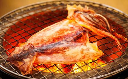 【12/21まで年内発送】北海道産 真いか一夜干し 2杯×4個セット_一夜干し 烏賊 いか イカ 焼魚 焼き魚 セット ひもの 冷凍 魚介類 海鮮 絶品 人気 笹谷商店 直営 釧之助本店 高級 北海道 釧路町 釧路超 特産品 _【配送不可地域：離島】【1384995】