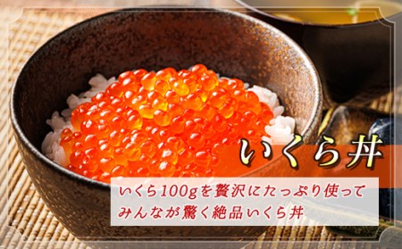 北海道産 塩いくら 500g×1箱 いくら塩漬け 道産の鮭卵のみを使用した宝石のように輝くいくらの塩【配送不可地域：離島】【1394761】