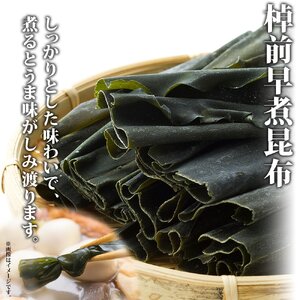 【のし付き】山田物産の昆布2種セット 棹前早煮昆布100g×2袋 とろろ180g 北海道釧路町産_昆布 こんぶ 棹前昆布 さおまえ 根昆布 だし 出汁 乾物 海藻 お祝い ギフト 無地熨斗 熨斗 のし 山田物産 北海道 釧路町 釧路超 特産品_【1427555】