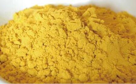 屋久島の恵 ターメリック 100g×1袋(粉末タイプ)