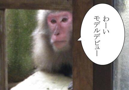 やくさるTシャツDRY 子供 　身長110cm【黄】