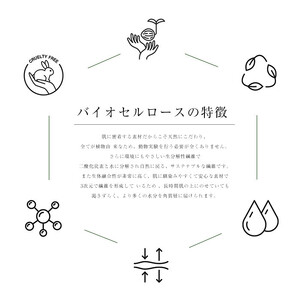 boe Air freshener for your skin care time 20ml(アロマミスト) | アロマ