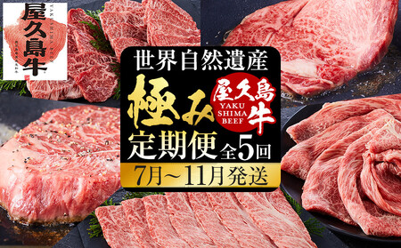 【定期便 全5回】【屋久島牛】世界自然遺産極み定期便＜7月～11月発送＞