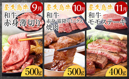 【定期便 全5回】【屋久島牛】世界自然遺産極み定期便＜7月～11月発送＞