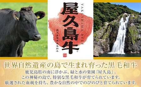 【定期便 全5回】【屋久島牛】世界自然遺産極み定期便＜7月～11月発送＞