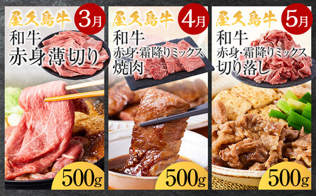 【定期便 全8回】【屋久島牛】世界自然遺産 全品堪能定期便<1~8月発送>