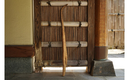 【相良パーティ】屋久島産自然薯1kg【2025年12月下旬頃順次発送予定】