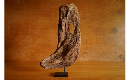 【相良パーティ】屋久島の流木【中サイズ】