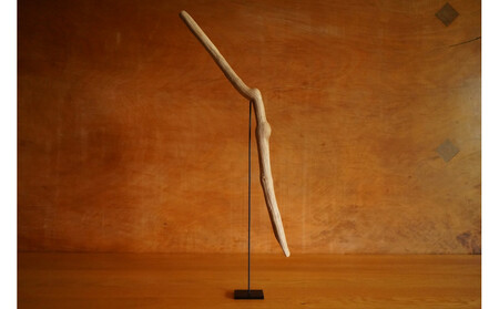 【相良パーティ】屋久島の流木【中サイズ】