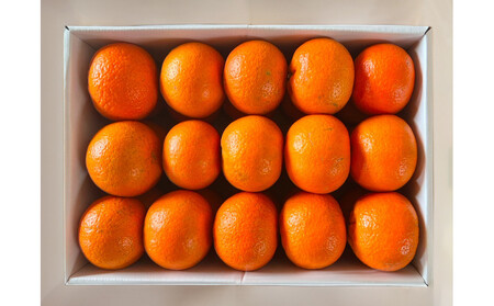 【相良パーティ】『ハローたんかん』屋久島産【M,Lサイズ10kg】