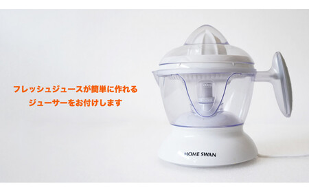 【相良パーティ】『ハローたんかん』屋久島産【M,Lサイズ10kg】