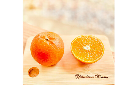 屋久島たんかんピュアチョコレート 25g×2枚