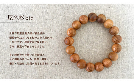 屋久杉12mm玉ブレスレット【20cm (L)】