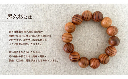 屋久杉15mm玉ブレスレット【18cm (M)】