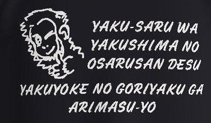 やくさるTシャツDRY Lサイズ 【黒】