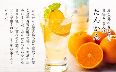 【屋久島限定】屋久島たんかん酒500ml×3本＜本坊酒造 屋久島伝承蔵＞