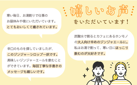 屋久島ジンジャーシロップ 大(200ml)×2本セット
