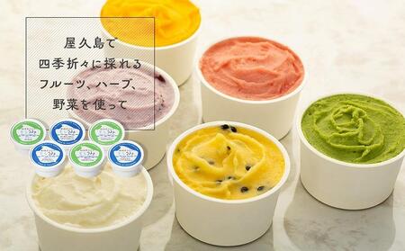 手作り ジェラート 6カップ 詰め合わせ セット＜屋久島産の新鮮食材を使用＞