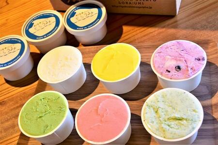 手作り ジェラート 6カップ 詰め合わせ セット＜屋久島産の新鮮食材を使用＞