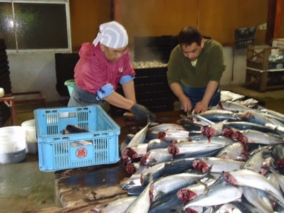 無添加・天然!サバだしパック(3袋) | だし