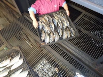 無添加・天然!サバだしパック(3袋) | だし