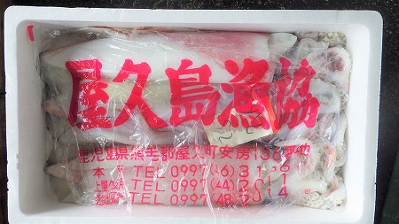 ふるさと納税 兵庫県新温泉町 アオリイカ 冷凍 大 約2kg 1 2杯入 イカ Certificados Facica Edu Br ふるさと納税 兵庫県新温泉町 アオリイカ 冷凍 大 約2kg 1 2杯入 イカ Certificados Facica Edu Br