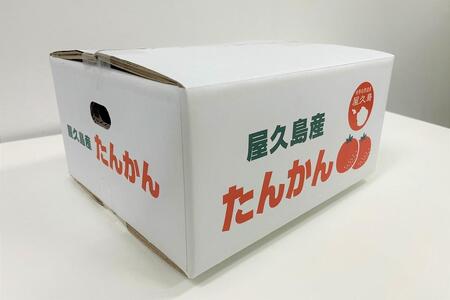 2025年 屋久島産たんかん自家用(訳あり品) 約4.5kg(S～2Lサイズ・少々キズあり)＜先行予約／数量限定＞