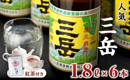 焼酎一升瓶 三岳6本+紅茶セットプラケース | 鹿児島県屋久島町