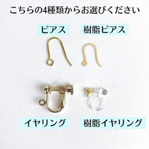 屋久杉×12月誕生石 樹脂ピアス