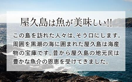 漁協直営！屋久島産 とびうお加工品セット