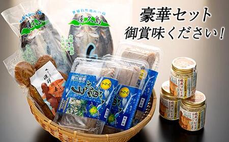 漁協直営！屋久島産 とびうお加工品セット