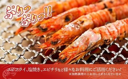 鹿児島県産 活き〆冷凍 車海老（養殖）Mサイズ計600g（300g 17～20尾×2パック）セット
