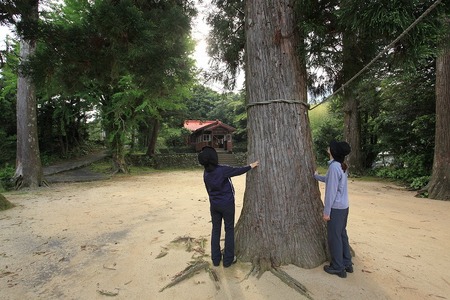 屋久島プライベート＆カスタマイズツアー