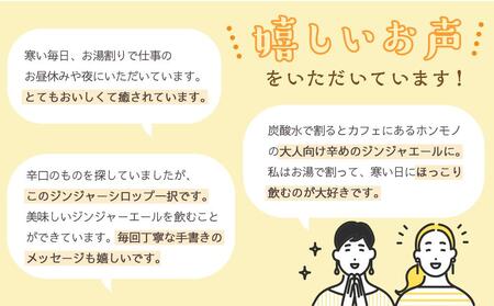 【全3回定期便】屋久島ジンジャーシロップ 大(200ml)×2本セット