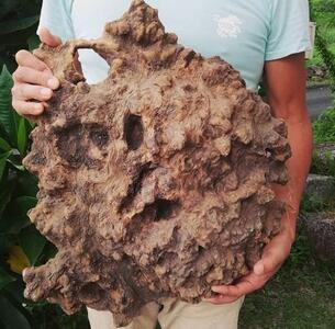 屋久杉Initialイニシャルキーホルダー　”J”