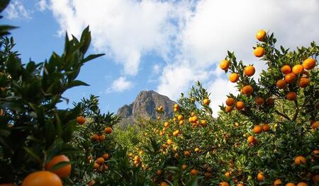 屋久膳フレグランスセット