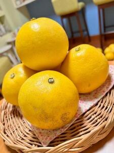 屋久膳フレグランスセット