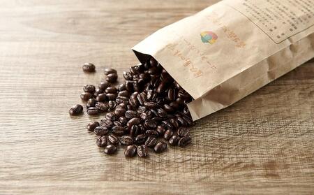 【定期便 全3回】【豆】屋久島の水で研いだ（焙煎機を使用した）コーヒー（1回分120g）