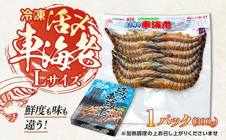 鹿児島県産 活き〆冷凍 車海老（養殖）Lサイズ 300g（14～16尾）1パック セット