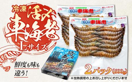 鹿児島県産 活き〆冷凍 車海老（養殖）Lサイズ 計600g（300g 14～16尾2パック）セット