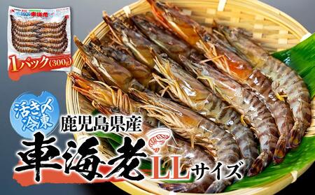 鹿児島県産 活き〆冷凍 車海老（養殖）LLサイズ 300g（10～12尾）1パック セット【 海老 海老 海老 海老 海老 】