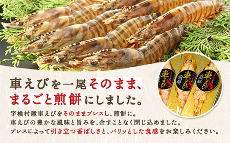 車えび姿焼き煎餅(3枚セット) 車えび エビ おつまみ 奄美大島 宇検村 鹿児島