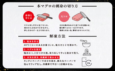 【 大トロ 中トロ 赤身 中落ち 】本マグロ 700g 簡単 お刺身 セット 冷凍 柵 宇検村産 鮪 海鮮 晩酌 刺し身 まぐろ さしみ 海鮮丼 人気 漬け ネギトロ 生食用
