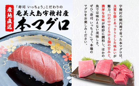 奄美大島 寿司いっちょう お食事券（6,000円分）