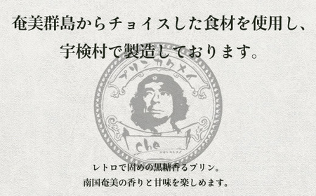奄美大島 パッションフルーツ パンナコッタ（4個入り）冷凍 こだわり 素材 人気 スイーツ デザート 洋菓子 奄美大島 宇検村 鹿児島【プリン専門店che】